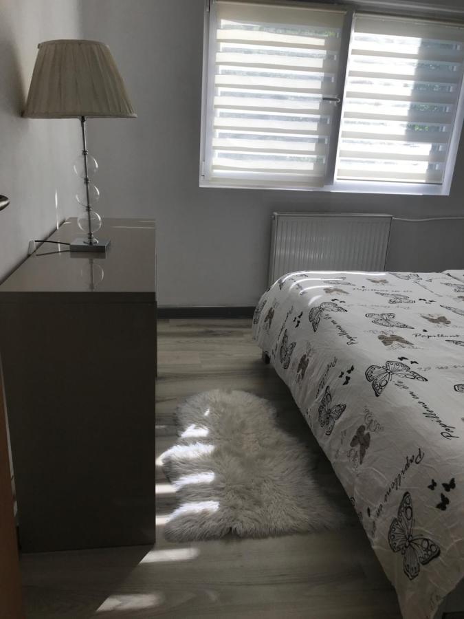 Boulevard Apartment Nagyvárad Kültér fotó